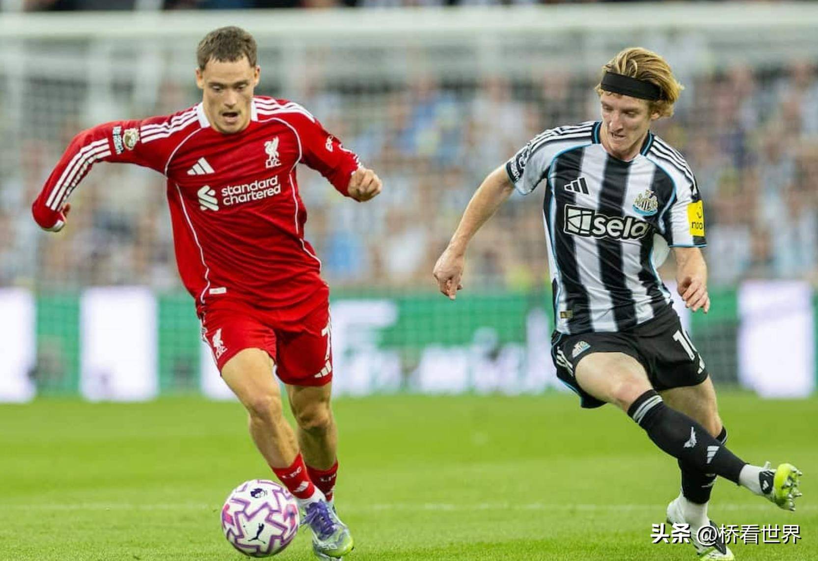 利物浦前途光明！，Ning新星比赛局势复杂表现突出赢得满堂喝彩的简单介绍